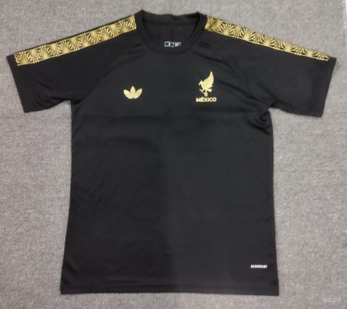 25-26 Mexico Gold Cup Black Fans Soccer Jersey