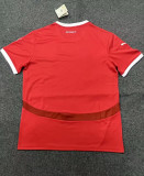 2024 Austria European Cup Home Fans Version Soccer Jersey