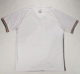2024 Palestine Fans Version Soccer Jersey