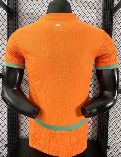 25-26 Cote d'Ivoire Home Player Version Soccer Jersey