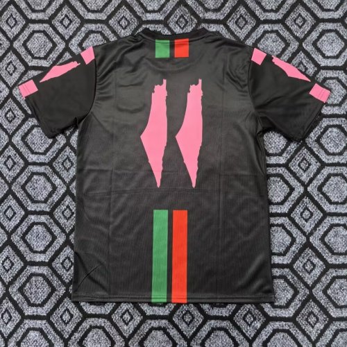 25-26 Palestine Special Edition Fans Soccer Jersey
