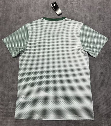 2026 Mexico World Cup Culture Promotion Green Fans Training shirts