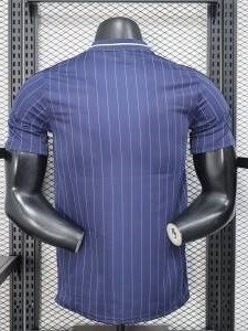 25-26 Copenhagen FC Casual Edition Player Version Training shirts