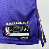 25-26 Lakers JAMES #23 Purple Top Quality Hot Pressing NBA Jersey (Trapeze Edition) 飞人版