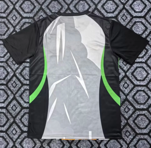 25-26 Brazil Green Special Edition Training shirts