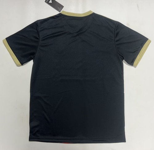 25-26 Benfica Special Edition Fans Soccer Jersey