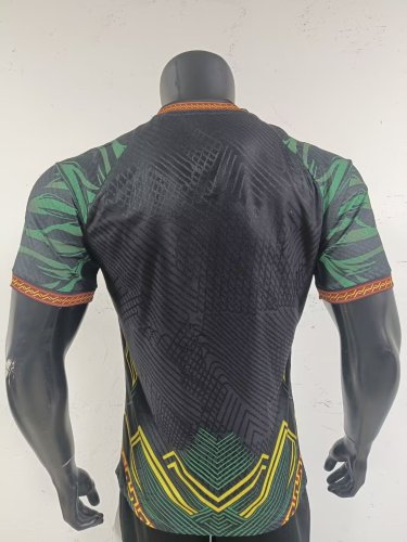 25-26 Mali Home Player Version Soccer Jersey