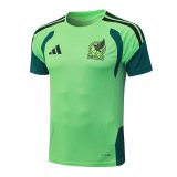 2026 Mexico Green High Quality Player Version Training Short Suit (球员套装)