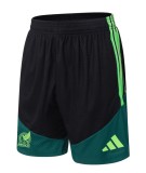 2026 Mexico Green High Quality Player Version Tank Top And Shorts Suit (球员套装)