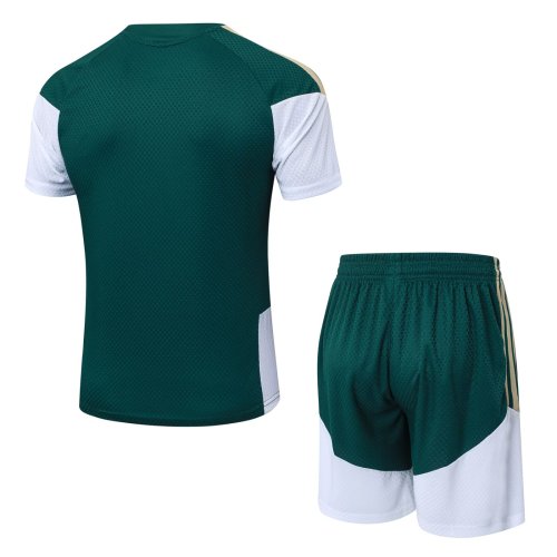 2026 Italy Green High Quality Player Version Training Short Suit (球员套装)