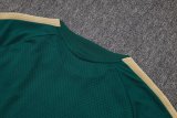 2026 Italy Green High Quality Player Version Training Short Suit (球员套装)