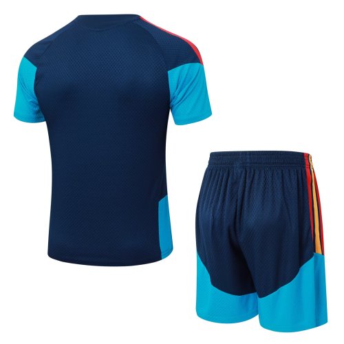 2026 AD Blue High Quality Player Version Training Short Suit (球员套装)