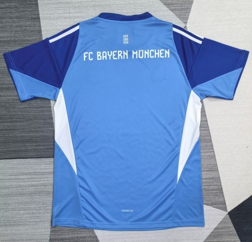 25-26 Bayern Blue Goalkeeper Fans Soccer Jersey
