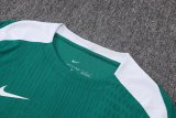 2026 NK Green High Quality Player Version Training Short Suit (球员套装)
