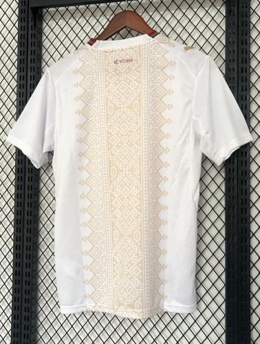 2026 World Cup Morocco Away Fans Soccer Jersey(With 2 Star)*两颗星