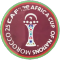 AFRICA CUP 25(非洲杯)右 AFRICA CUP 25(非洲杯)右