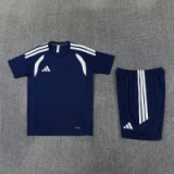 2026 AD Blue-violet Training Short Suit
