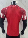 2026 Tunisia Home Leaked Edition Player Version Soccer Jersey