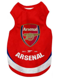 2026 ARS Pet Hot Pressing Soccer Jersey (背心)