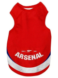 2026 ARS Pet Hot Pressing Soccer Jersey (背心)