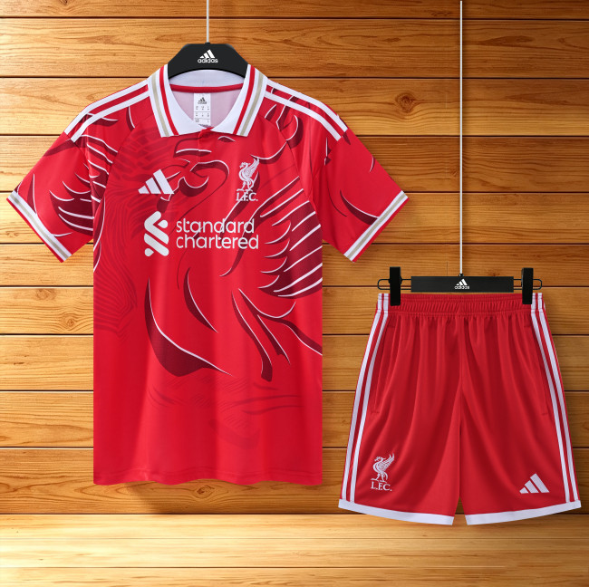 26-27 LIV High Quality Training Short Suit