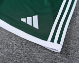 26-27  LIV High Quality Training Short Suit