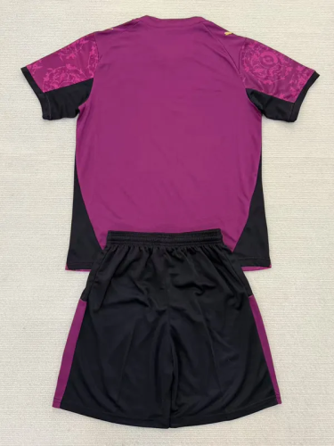 25-26 Galatasaray Brown Red Kids Soccer Jersey