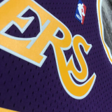1998-99 LAKERS ROOMAN #73 Purple Retro Top Quality Hot Pressing NBA Jersey(圆领）