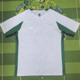 25-26 Sporting Lisbon Special Edition Training shirts 1:1 Thai Quality(狮头)