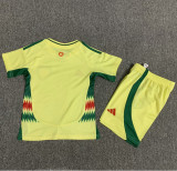 2024 Wales European Cup Away Kids Soccer Jersey