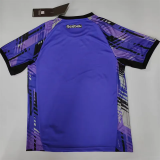 25-26 Botafogo Purple Goalkeeper Soccer Jersey 1:1 Thai Quality