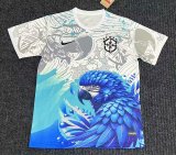 25-26 Brazil Grey Blue Special Edition Fans Soccer Jersey