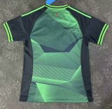 25-26 Celtic Green Special Edition Fans Soccer Jersey