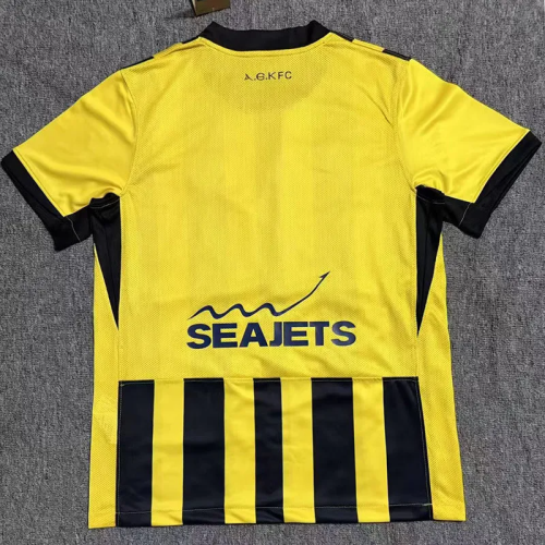 25-26 AEK Athens Home Fans Soccer Jersey 1:1 Thai Quality