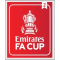 FA CUP (英足总杯2次) FA CUP (英足总杯2次)