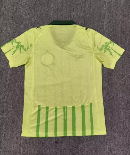 25-26 Palmeiras Special Edition Fans Soccer Jersey