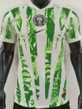 25-26 Nigeria Home Player Version Soccer Jersey