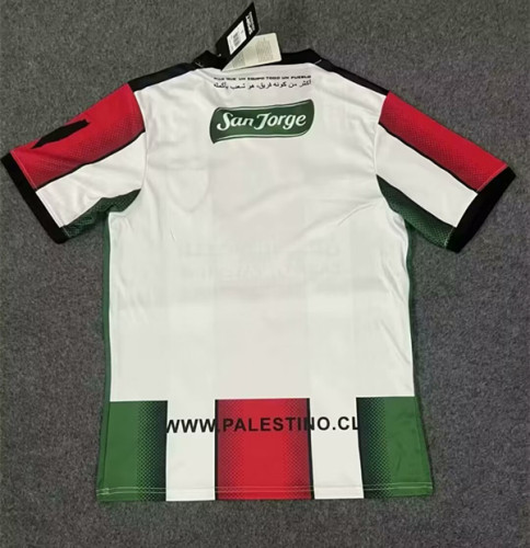 2023 Palestine Fans Version Soccer Jersey