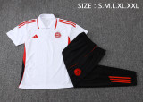 25-26 Bayern High Quality Polo Tracksuit