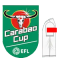 Carabao Cup +DXC.TE (英联赛杯+左袖广告)