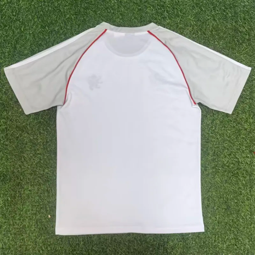 25-26 Lyon Grey Fans Training shirts