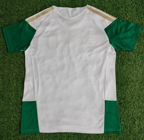 25-26 Italy White Green Training shirts