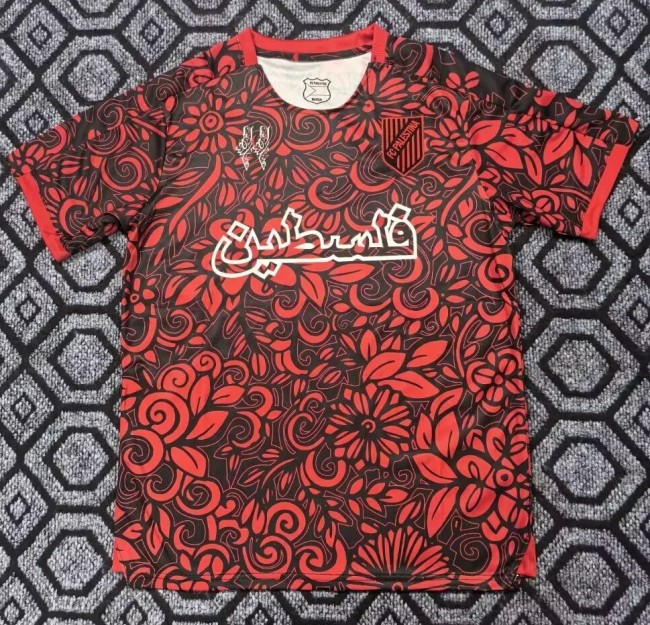 25-26 Palestine Special Edition Fans Soccer Jersey