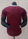 25-26 Aja× Casual Brown Red Player Version Training shirts