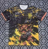 25-26 Brazil Special Edition Training shirts