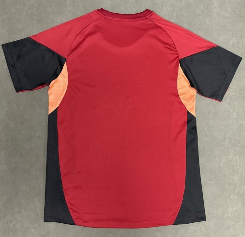 25-26 LIV Special Edition Fans Training Shirts