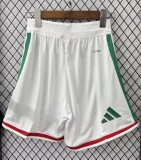 2026 World Cup Mexico Home Player Version Shorts Pants(球员短裤)