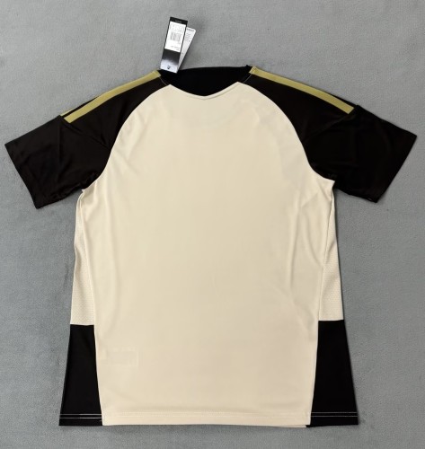 25-26 Flamengo Special Edition Fans Training shirts