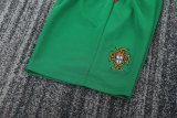 2004 Portugal Home Long sleeves Retro Kids Soccer Jersey
