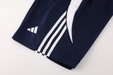 2024 AD Blue Training Short Suit
